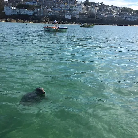 Cornish * Newquay (Cornwall)